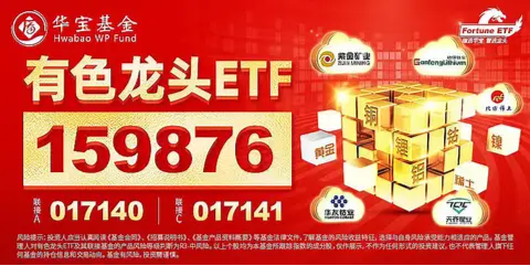 黄金再受热捧，有色龙头ETF（159876）盘中飙涨近3%！机构：黄金价格正反馈机制或正在形成