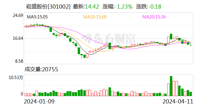 崧盛股份发布未来发展战略及2024年经营计划